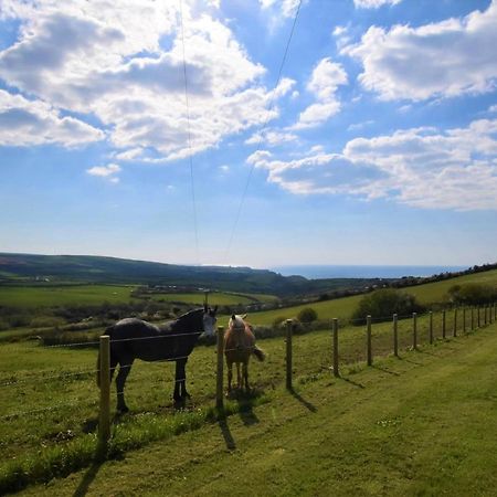 1 Bed In Boscastle Lpenc Villa Екстериор снимка