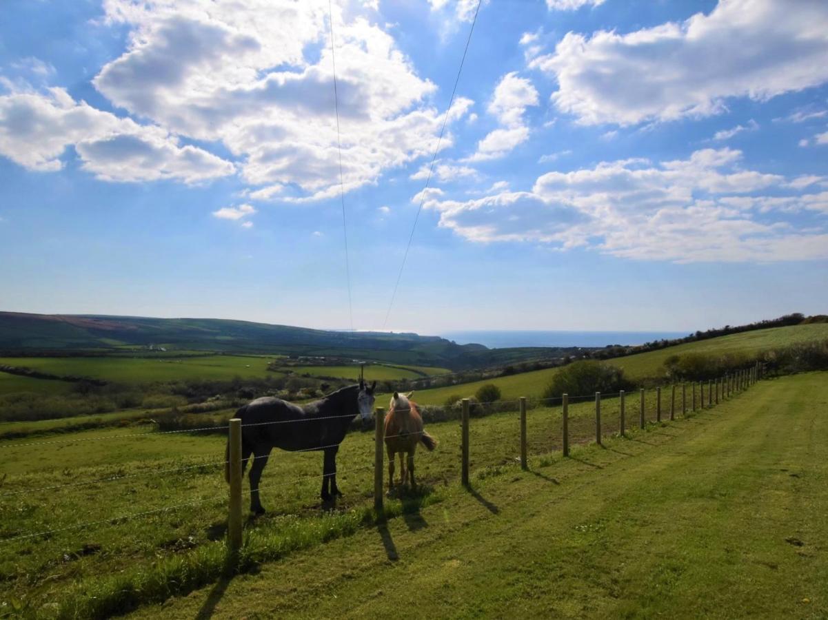 1 Bed In Boscastle Lpenc Villa Екстериор снимка